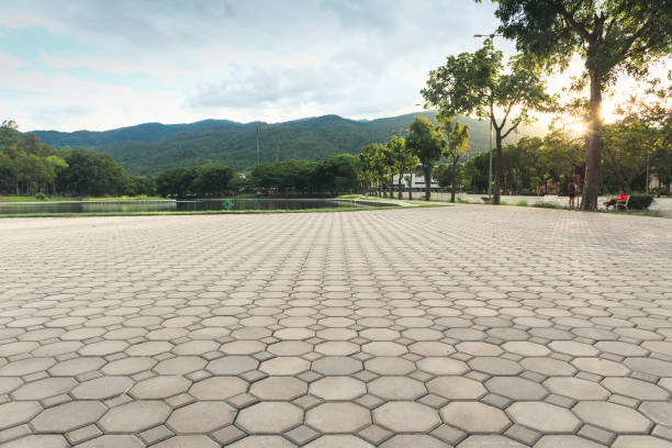 Best Concrete Paver Driveway  in Newman, CA