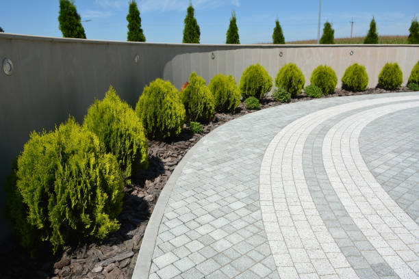 Best Driveway Repair Near Me  in Newman, CA